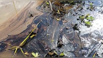 Derrame de petróleo se registra en el Río Amazonas