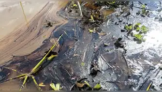 Derrame de petróleo se registra en el Río Amazonas