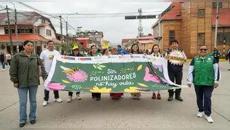 Oxapampa: Aprueban plan clave para proteger a los polinizadores en la reserva BIOAY