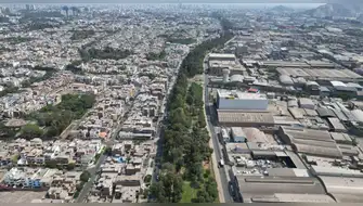 Convocan caminata en defensa del bosque Separadora Industrial