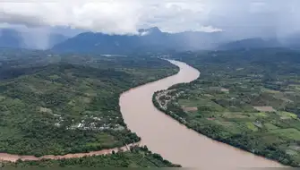 La deforestación global se desacelera, pero Sudamérica sigue en alerta roja