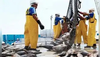 Congreso: fuerte presión para que no se apruebe ley que protege reservas marinas de la pesca industrial