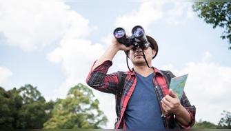 La observación de aves puede ser tan beneficiosa como actividades cognitivas tradicionales
