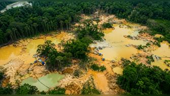 Minería ilegal en Madre de Dios: más de 940 hectáreas de la Reserva Tambopata están afectadas