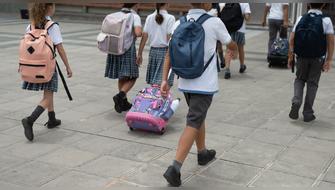Aprendizaje infantil: por qué los primeros años son decisivos