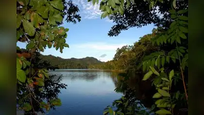 Invertirán $ 19.7 millones en la conservación de bosques tropicales