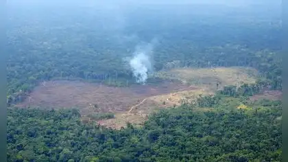 El 25% de ecosistemas de Colombia en estado crítico