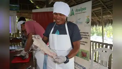 Emprendedores awajún crean biocuero a partir de piel de peces Emprendedores awajún crean biocuero a partir de piel de peces