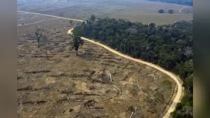 Madre de Dios impulsa proyecto para reducir la deforestación Madre de Dios impulsa proyecto para reducir la deforestación