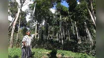 Perú presenta plan de 12 ejes sostenibles a la OCDE Perú presenta plan de 12 ejes sostenibles a la OCDE
