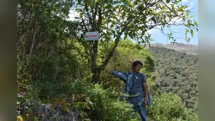Productores recuperan terrenos degradados en la región San Martín Productores recuperan terrenos degradados en la región San Martín