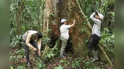 Conservación de recursos naturales movilizarán S/ 19 millones Conservación de recursos naturales movilizarán S/ 19 millones