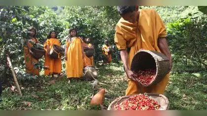 Proyecto busca la conservación de bosques amazónicos Proyecto busca la conservación de bosques amazónicos