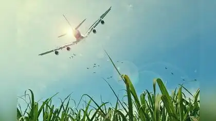 Ecopilotaje: La tendencia de las aerolíneas a favor del medioambiente