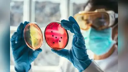 Cambio climático agravará problema de resistencia a los antimicrobianos Cambio climático agravará problema de resistencia a los antimicrobianos