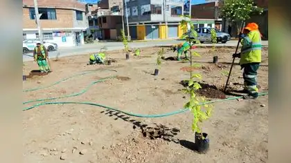 Botadero informal es transformado en área verde Botadero informal es transformado en área verde