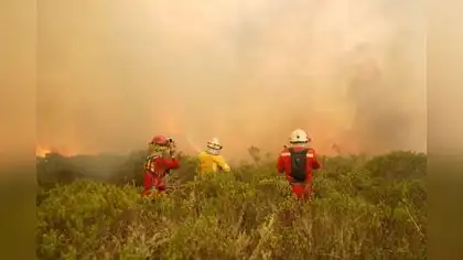Incendios forestales amenazan a más de un millón de personas Incendios forestales amenazan a más de un millón de personas
