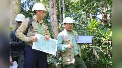 FAO premiará al IIAP por investigaciones y protección de bosques FAO premiará al IIAP por investigaciones y protección de bosques
