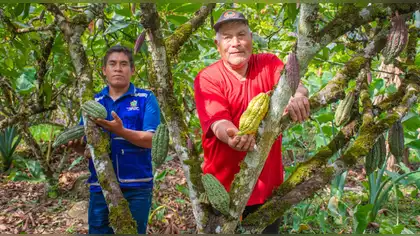 El VRAEM se alista para celebrar al cacao que dio origen al "mejor chocolate del mundo"