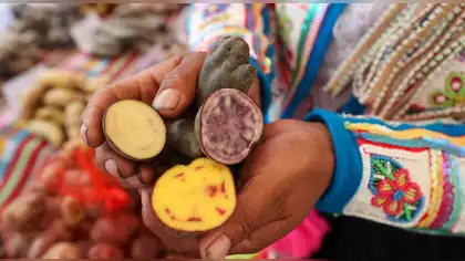 Perú avanza en materia de conservación de la biodiversidad Perú avanza en materia de conservación de la biodiversidad