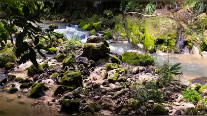 Luz verde para futura área de conservación Aguas Calientes Maquia en Loreto Luz verde para futura área de conservación Aguas Calientes Maquia en Loreto