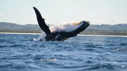 Reserva Nacional Mar Tropical de Grau ya cuenta con un Plan Maestro Reserva Nacional Mar Tropical de Grau ya cuenta con un Plan Maestro