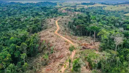 Brasil lanza programa para erradicar deforestación amazónica al 2030
