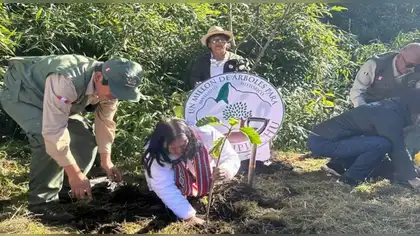 “Un millón de árboles”: campaña para reforestar santuario de Machu Picchu “Un millón de árboles”: campaña para reforestar santuario de Machu Picchu
