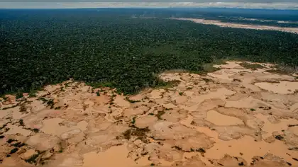 Deforestación avanza en zona de amortiguamiento de Reserva Tambopata