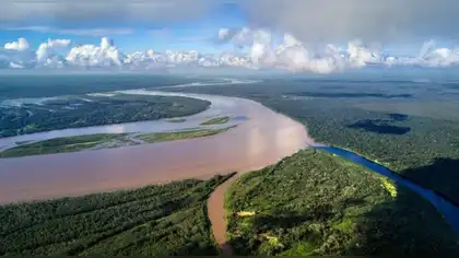 Fondo Verde para el Clima destina US$ 37,5 millones para Amazonía Fondo Verde para el Clima destina US$ 37,5 millones para Amazonía