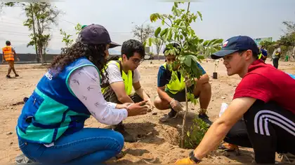 Perú busca plantar 2,5 millones de árboles solo en el primer semestre del 2026 Perú busca plantar 2,5 millones de árboles solo en el primer semestre del 2026