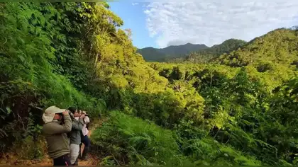 SERFOR deja sin protección la mayor parte del patrimonio natural del país bajo nueva propuesta técnica SERFOR deja sin protección la mayor parte del patrimonio natural del país bajo nueva propuesta técnica
