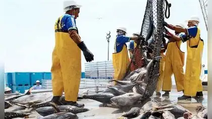 Congreso: fuerte presión para que no se apruebe ley que protege reservas marinas de la pesca industrial