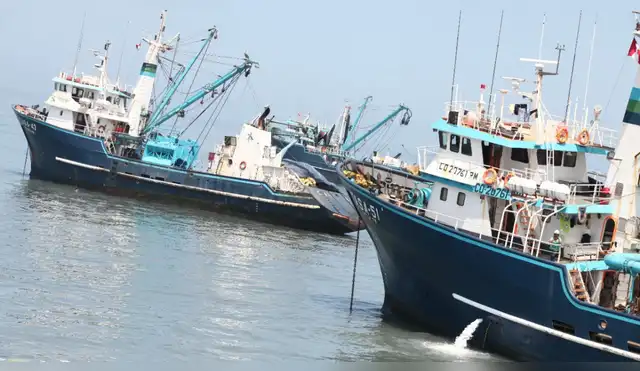 pesca pesca