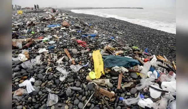 plastico plastico