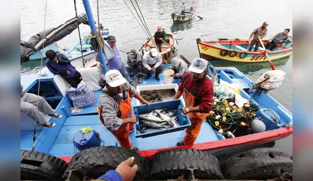 Expertos de la región se reúnen por sostenibilidad de la pesca