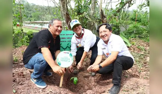 San Martín: Plantan 500 árboles en jornada de reforestación San Martín: Plantan 500 árboles en jornada de reforestación