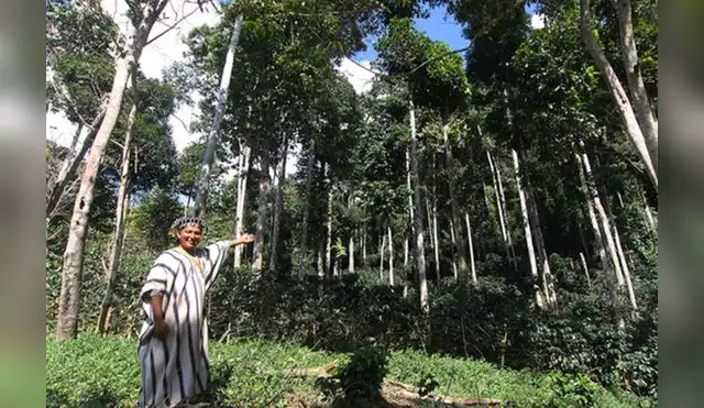 Perú presenta plan de 12 ejes sostenibles a la OCDE