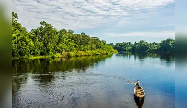 Áreas naturales protegidas registran conservación superior al 95% Áreas naturales protegidas registran conservación superior al 95%
