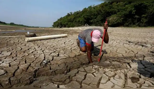 Cambio climático y pérdida de naturaleza son las principales amenazas del mundo Cambio climático y pérdida de naturaleza son las principales amenazas del mundo