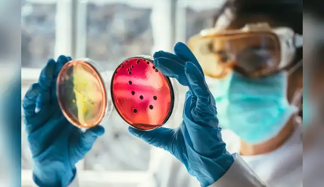 Cambio climático agravará problema de resistencia a los antimicrobianos