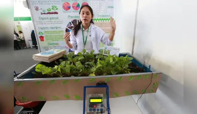 Alumnos de la selva desarrollan proyectos para proteger medio ambiente