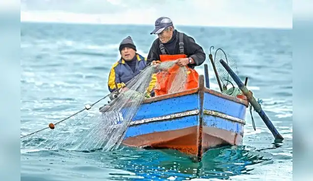 Entidades impusan pesca responsable con el ambiente Entidades impusan pesca responsable con el ambiente