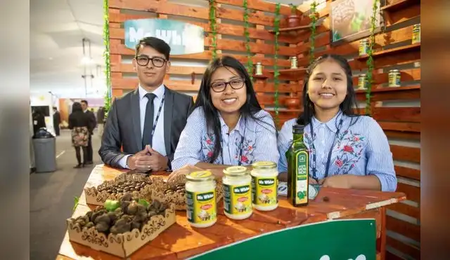 Universidades al fomento de una cultura emprendedora en el país