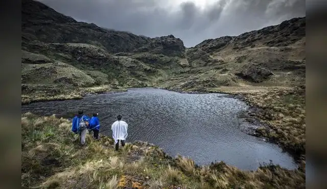Áreas de Conservación regional necesitan S/27 millones para protección