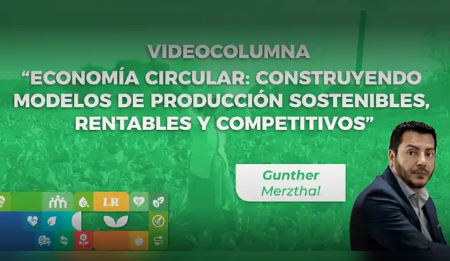 economia circular economia circular