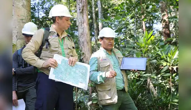 FAO premiará al IIAP por investigaciones y protección de bosques FAO premiará al IIAP por investigaciones y protección de bosques