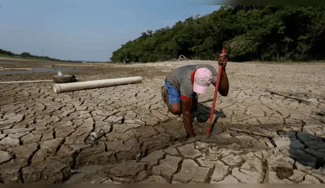 El Perú frente al cambio climático: lo que llevamos a la COP30 El Perú frente al cambio climático: lo que llevamos a la COP30