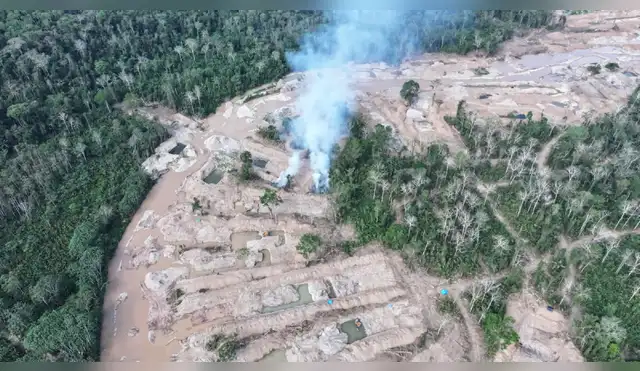 Huánuco: Defensores de la ACP Panguana bajo asedio y amenazas tras golpes a la minería ilegal en Yuyapichis Huánuco: Defensores de la ACP Panguana bajo asedio y amenazas tras golpes a la minería ilegal en Yuyapichis