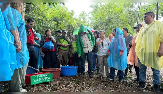 Conservación de taricayas: alianza público-privada protege la Amazonía loretana Conservación de taricayas: alianza público-privada protege la Amazonía loretana